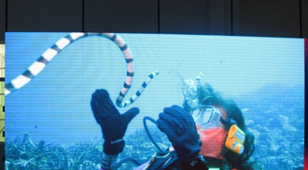 美股四次熔斷，會對室內(nèi)全彩led顯示屏行業(yè)造成怎樣的影響呢