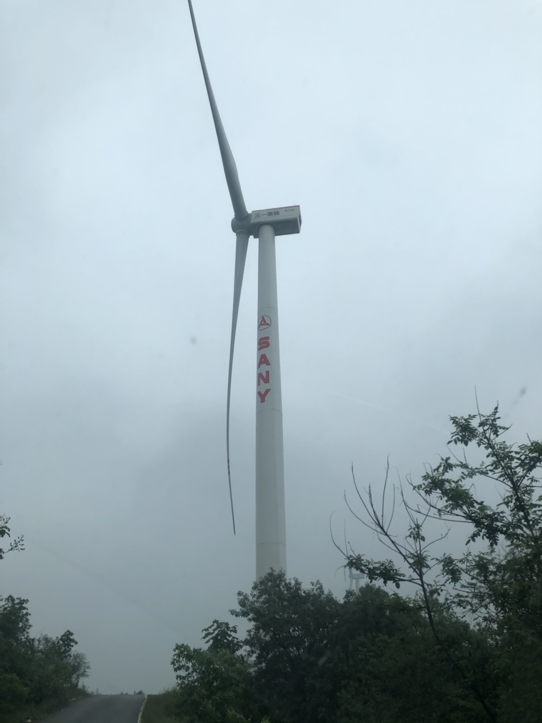 455a8a50-774e-4252-9cee-68a59d110d82.jpg 455a8a50-774e-4252-9cee-68a59d110d82.jpg